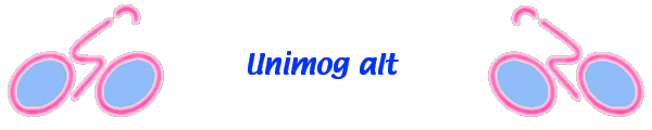  Unimog alt 