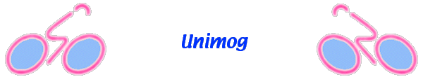  Unimog 